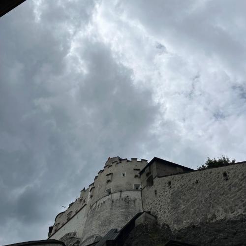 whatsapp_image_2026-06-17_at_17.04.19_1.jpeg