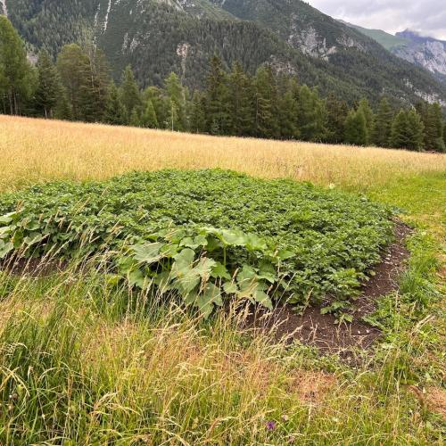 Biodiversität_Hirschenbad