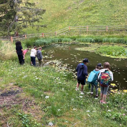Biodiversität_Hirschenbad