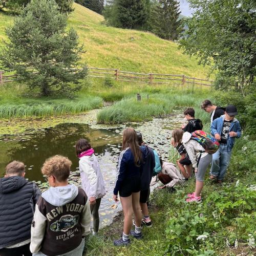 Biodiversität_Hirschenbad