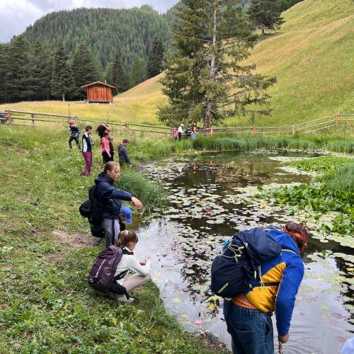 Biodiversität_Hirschenbad