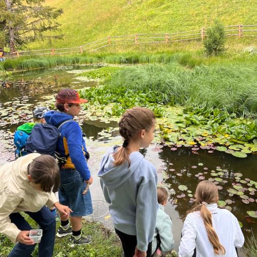 Biodiversität_Hirschenbad