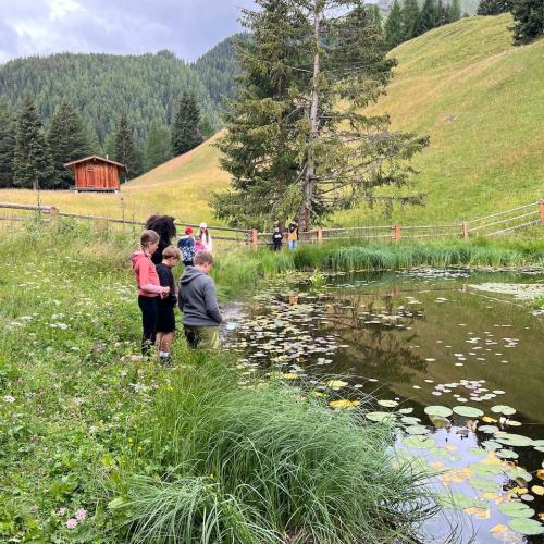 Biodiversität_Hirschenbad