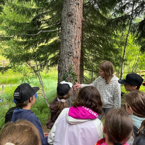 Biodiversität_Hirschenbad