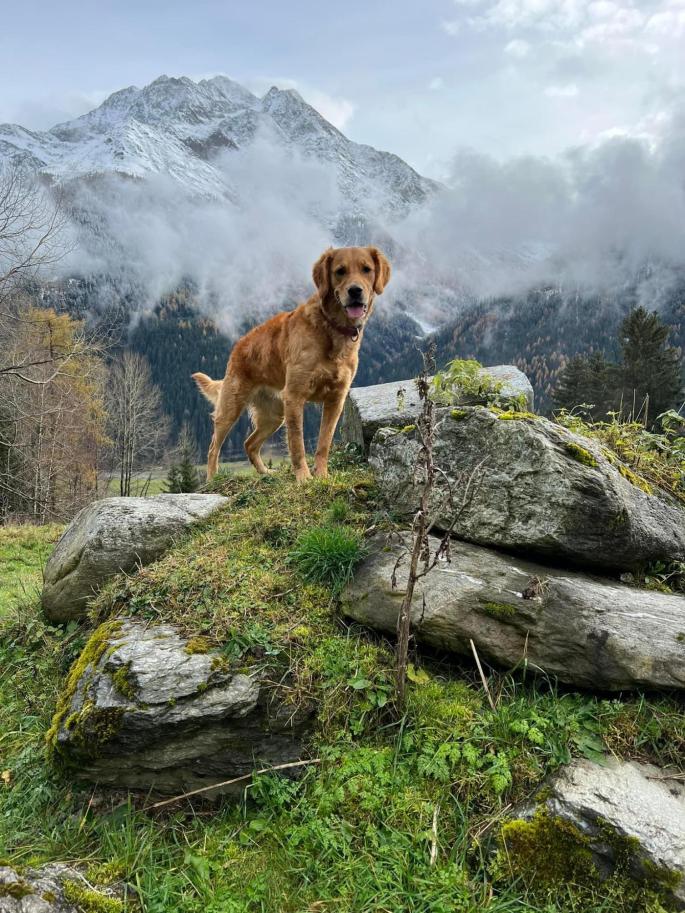 Der Blick vom Lavenar