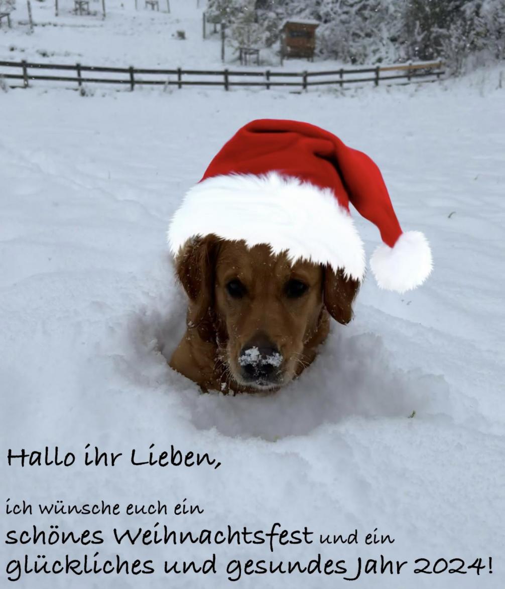 Weihnachten 1